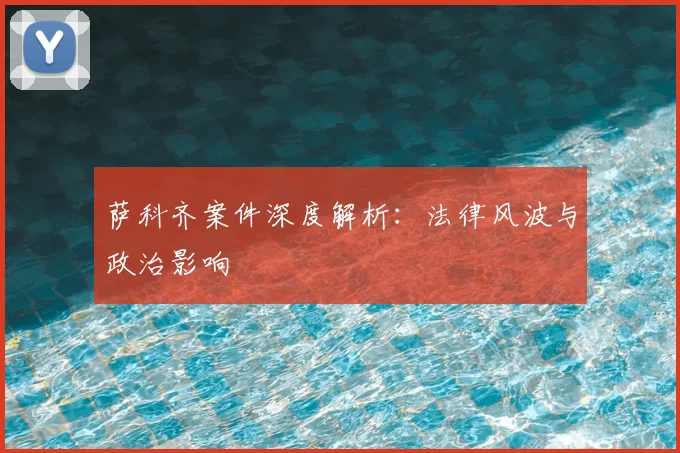 萨科齐案件深度解析：法律风波与政治影响