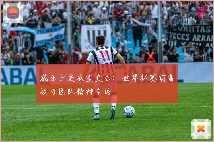 威尔士更衣室直击：世界杯赛前备战与团队精神专访