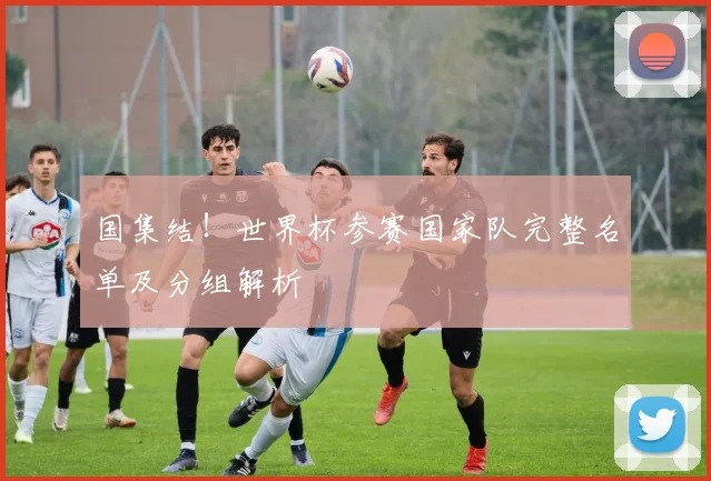 国集结！世界杯参赛国家队完整名单及分组解析