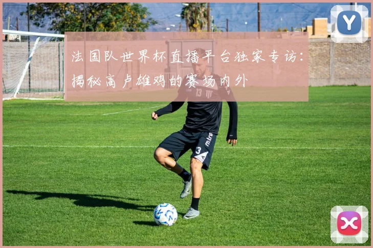 法国队世界杯直播平台独家专访：揭秘高卢雄鸡的赛场内外
