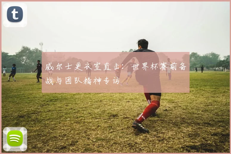 威尔士更衣室直击：世界杯赛前备战与团队精神专访