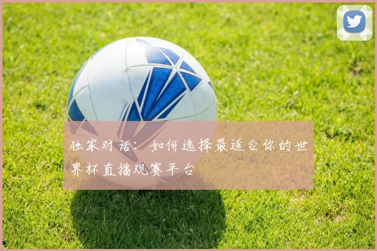 独家对话:如何选择最适合你的世界杯直播观赛平台