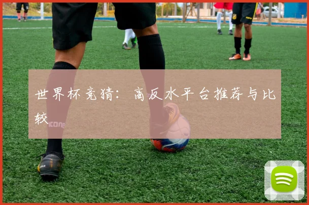 世界杯竞猜：高反水平台推荐与比较
